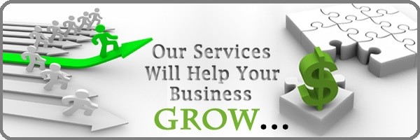 freelance-website-design-profit