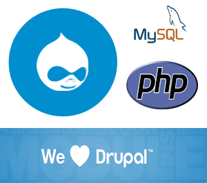 Tech-Magneta loves Drupal Development Freelance Drupal Developer in Mumbai India